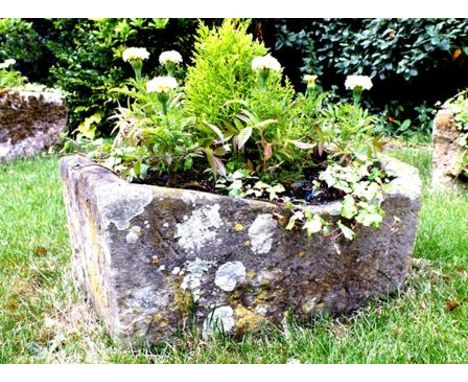 A 19th century hewn stone garden trough, bowed to one end, 62cm long, with plants 