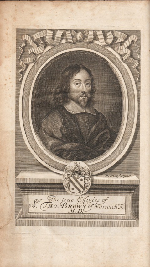 off white brown thomas