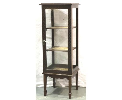 An Edwardian two-shelf vitrine, with three display sides and glazed single door, one glazed panel deficient, 35 x 32 x 97 cm 