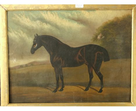 19th century British school - Portrait of the racehorse - Lord Marmion, died March 16 1893, aged 29 years, owner TG Lapham, i