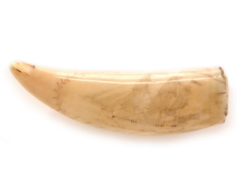 An early 19th century Scrimshaw work sperm whale tooth, engraved with a clipper in full sail, the reverse with a bell tower w