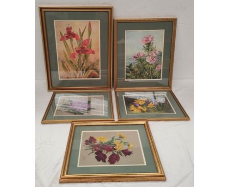 Wilhemena Mary Gresley (British 1853-1933). Corn Marigold, Leaves of the Ladder Rose'. Watercolour. 24cm x 17cm. Signed and d