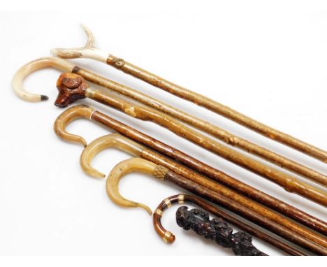A group of hazel and other walking sticks, comprising five with antler and horn handles, bamboo and brass walking cane, and a