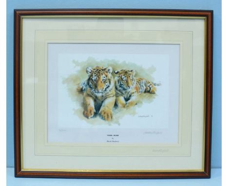 Mandy Shepherd (b.1960) 'Tiger Tiger' limited edition print number 70/500. Signed in pencil, mounted, glazed and framed. 23 x