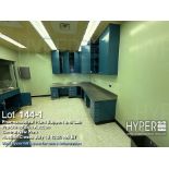 Lot of (9) labs, 373 linear ft. of cabinets and 6 hoods, 116 ft of SS counters