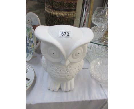 A owl light