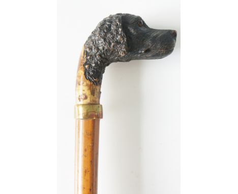 A walking stick, the terminal carved as a dog's head, brass ferrule, malacca shaft, brass and iron ferrule, 89cm high