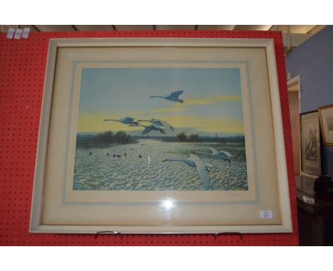 Peter Markham Scott, Print, signed in pencil with stamp to margin, Swans in Flight, 41cm x 53cm,