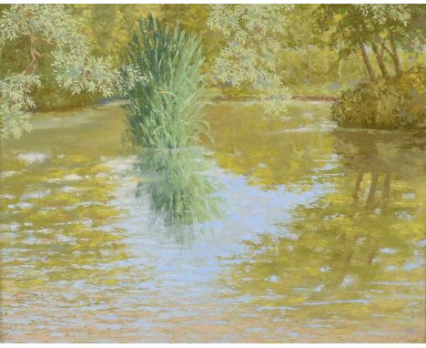V.J. Hamilton (20th century), Reflections in a Pond,oil on board, monogrammed and dated '91,50x60cm.