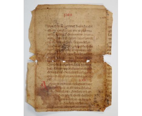 Fragment: aus einer Vulgata Bibel. Lat. Handschrift auf Pergament, Italien Ende 12.-Anfang 13. Jh. 1 beids. beschr. Bl. 24 x 