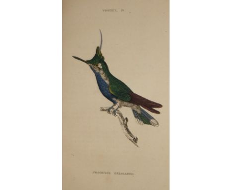 (Jardine,W.).: Naturgeschichte der Colibris. 1. Tl. (= alles Erschienene). Mit dem Bildnisse und der Lebensbeschreibung Linne