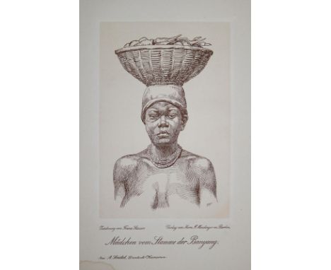 Seidel,A.: Deutsch-Kamerun. Wie es ist und was es verspricht. Historisch, geographisch, politisch, wirtschaftlich dargestellt