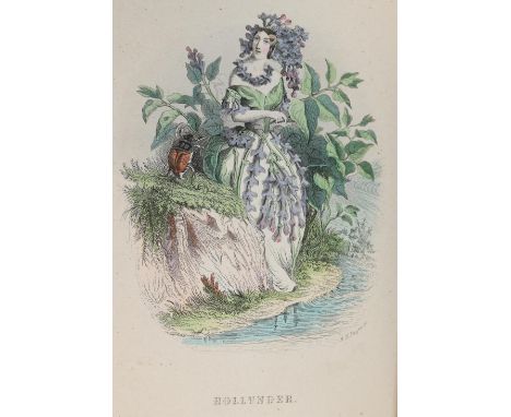 Böttger,A.: Die Pilgerfahrt der Blumengeister. 2. Aufl. Lpz., Fleischer 1854. Gr.8°. Mit 36 kolor. Stahlstichtaf. v. A.H. Pay