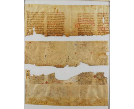 Sammlung: von 3 Fragmenten aus lat. Handschriften auf Pergament, Italien 14. Jh. Je ca. 11-16,5 x 36,5 cm. Zus. gerahmt, nich