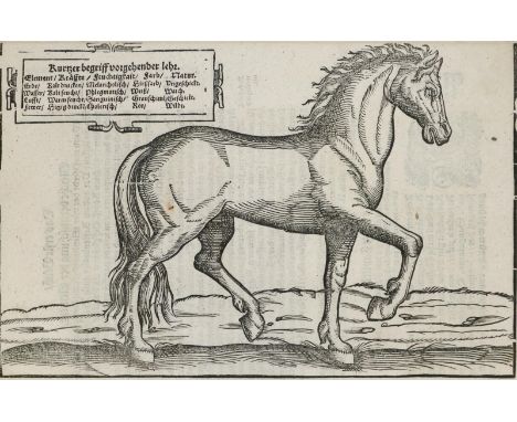 Grisone,F.: Hippokomiké (graece). Künstlicher Bericht und allerzierlichste beschreybung: Wie die Streitbarn Pferdt (durch wel