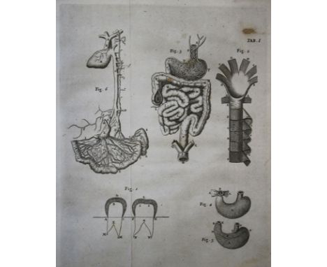 Nieuwentyt,B.: Het regt Gebruik der Werelt Beschouwingen ... Den Vyfden Druk. Amsterdam, Pauli 1730. 4°. Mit gest. Titelvign.