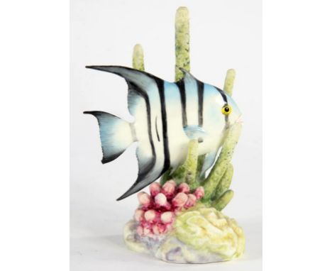 A ROYAL WORCESTER MODEL OF A SPADE FISH BY RONALD VAN RUYCKEVELT, 12.5CM H, PRINTED MARKS