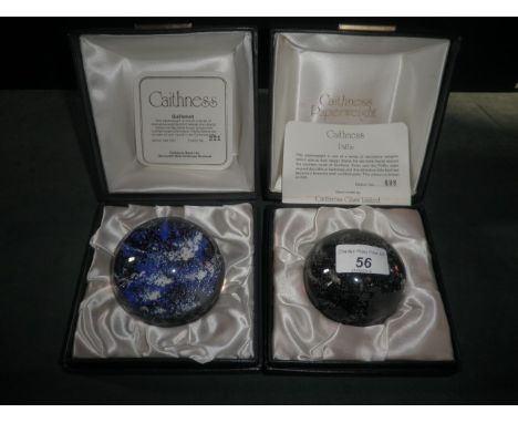 Two boxed limited edition Caithness paperweights, including Puffin number 498/500 and Guillemot number 221/500.
