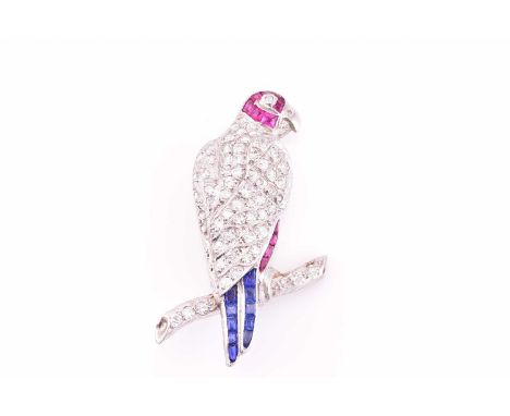 A diamond, sapphire and ruby parrot brooch, consisting of various sizes of diamonds pavé set on a textured white metal parrot