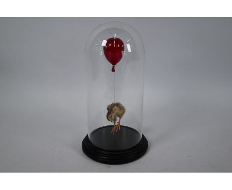 Polly Morgan (British b.1980) - 'Still Birth', a taxidermy chick with red glass balloon, from an edition of 150, mounted unde