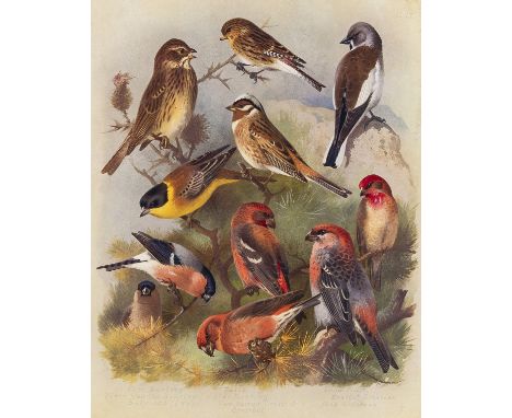 Birds.- Thorburn (Archibald) British Birds,  5 vol., including supplement, number 74 of 105 copies, half-titles, 82 colour pl