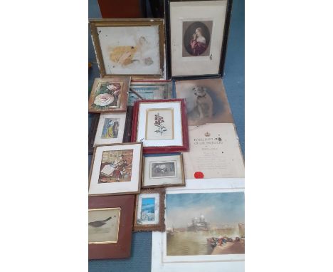 Mixed 20th century prints and frames A/F, together with mixed oils on canvas to include a print of a white dog and a Venetian