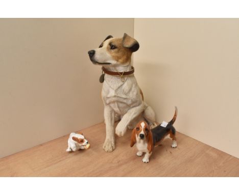 A Beswick Pottery Basset Hound 'Fochno Trinket' model number 2045A in black white and tan gloss finish by Arthur Gredington s
