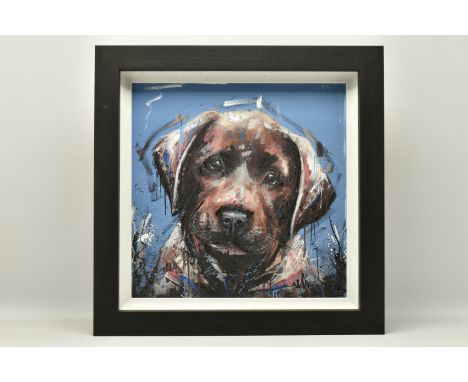 SAMANTHA ELLIS (BRITISH 1992) 'DIRTY DOG' a signed limited edition print on paper of a puppy, 85/295 with certificate, approx