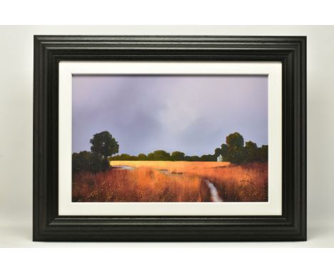 BARRY HILTON (BRITISH 1941) 'ENDURING LIGHT', a signed limited edition print on board, depicting a small stream running throu