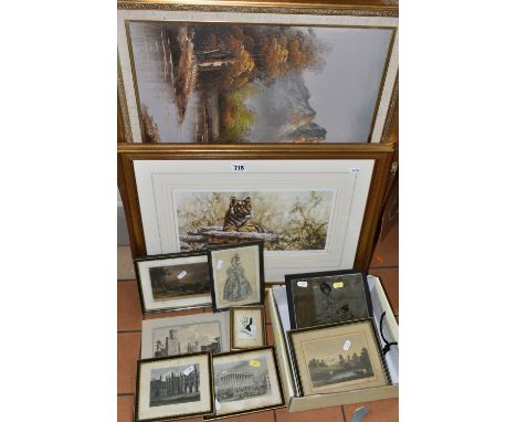 PICTURES AND PRINTS ETC, to include a Tony Forrest signed limited edition print depicting a tiger 117/500, approximate size 2