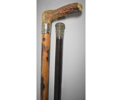 A Bone Handled Walking Stick and an Ebonised Walking Cane with White Metal Mounts 