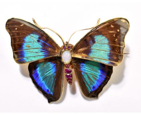 A cased French yellow metal trembleuse yellow metal, opal and butterfly wing brooch in the form of a butterfly with four sepa