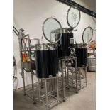 Marks DMW 2 BBL Coffee Pilot Brew System, 3 Tanks with Platform, 2 Glycol Jacketed V | Rig Fee $900