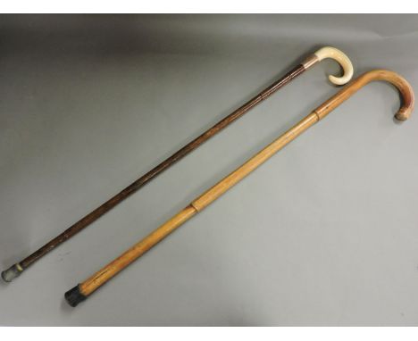 An early 20th century 9ct gold mounted ivory tusk walking cane, and another stick