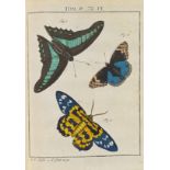 August Johann Rösel von Rosenhof Der monatlich-herausgegebenen Insecten-Belustigung