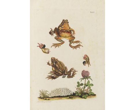 August Johann Rösel von Rosenhof    Naturgeschichte der Frösche des mittlern Teutschlandes. Neue verbesserte Auflage. Nürnber