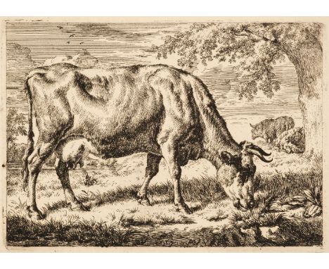 Van de Velde (Adriaen, 1636-1672). Grazing cow with two Sheep, 1670, etching on laid paper, a good well-contrasted impression
