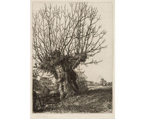 Badmin (Stanley Roy, 1906-1989). Old Ash, etching, signed and inscribed by the artist in pencil 'Old Ash. With the compliment