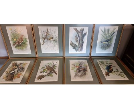 Basil Ede (1931-2016), Fine Art Guild set of eight limited edition prints of birds, signed in pencil, blind stamps, 32cm x 44