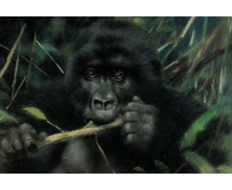 Joel Kirk, Gorilla in long grass, signed, pastel, 47 x 67cm