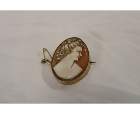 A 9ct gold oval brooch mounted with a female cameo portrait