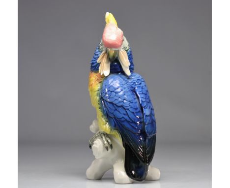 Manufacture porcelaine Karl ENS - SAXE large parrot in several colours - such as blue, yellow, pink and black. - Weight: 1.57