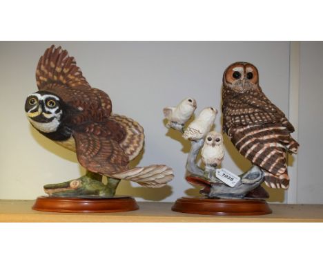 A Franklin Mint ceramic model, The Spectacled Owl, hand painted, 33cm, certificate, circular plinth base; another Franklin Mi