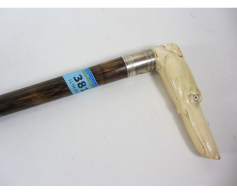 Carved ivory handled walking stick, modelled as a greyhound with glass eyes, the bamboo shaft with silver collar London 1897 