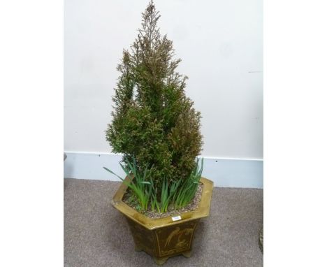 Hexagonal glazed planter with shrubs