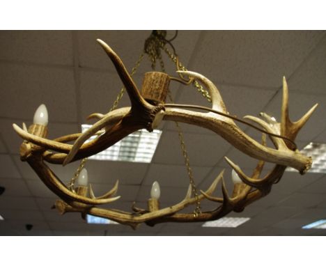 Antler Furniture - a  Red Deer antler mounted chandelier, constructed from six shed Red deer antlers, with six lights, 70cm w