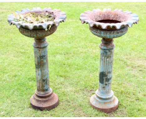Pair of Victorian cast iron pedestal planters of circular form with crimped rims, raised on ring turned and fluted supports a