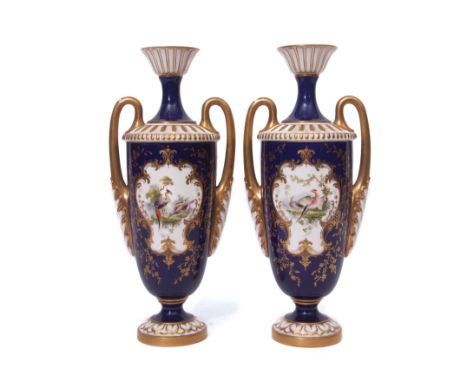 Pair of early 20th century Royal Worcester vases with gilt loop handles, the vases decorated with a panel of exotic birds in 