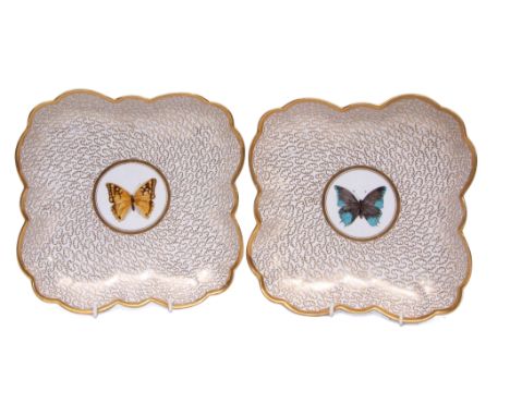 Pair of Worcester Barr Flight &amp; Barr dishes with a gilt scrolling decoration, the centres finely painted with butterflies