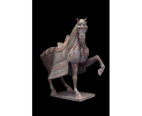 Ca. 618-907 AD. A hollow-moulded terracotta horse modelled in a standing pose, with one foreleg lifted. The animal's neck is 